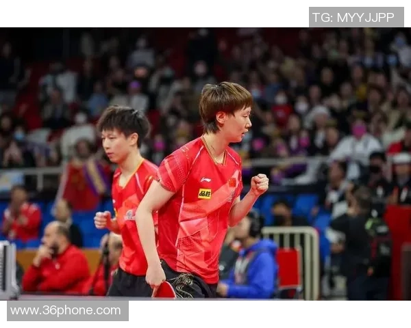 南京乒乓球队的奋斗历程与世界杯预选赛的辉煌梦想